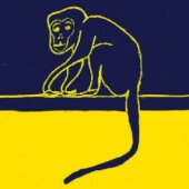 avoidicus